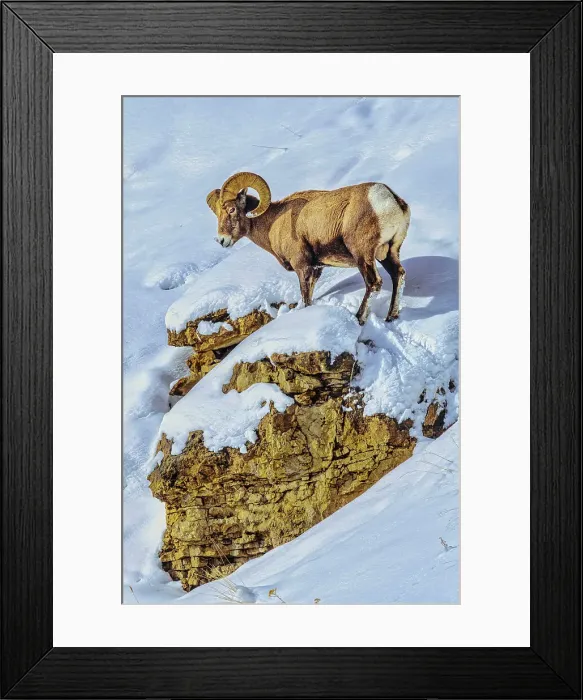 Framed Print : Northern range of Yellowstone National Park