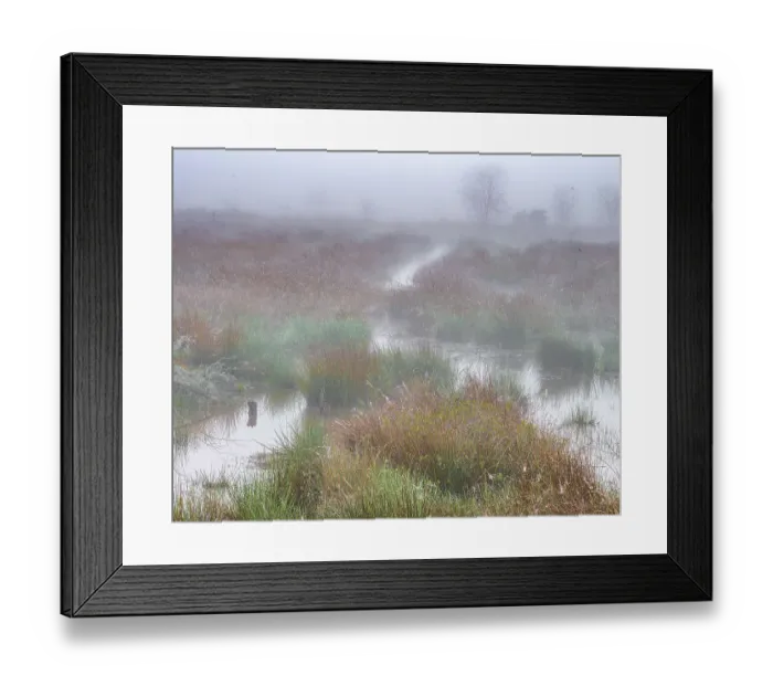 Framed Print : USA, New Jersey, Pine Barrens National Preserve. Fog over marsh in spring. ©Jay O'Brien  /  Jaynes Gallery  /  DanitaDelimont.com