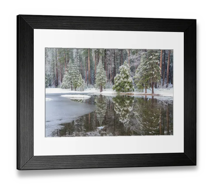 Framed Print : USA, California, Yosemite National Park. Forest reflection on winter pond after snowstorm. ©Don Grall / Jaynes Gallery / DanitaDelimont.com Framed Print : USA, California, Yosemite National Park. Forest reflection on winter pond after snowstorm. ©Don Grall / Jaynes Gallery / DanitaDelimont.com