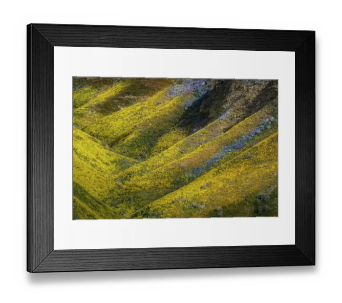Framed Print : USA, California, Carrizo Plain National Monument. Spring wildflowers on mountain ridges of Temblor Range. ©Don Grall / Jaynes Gallery / DanitaDelimont.com Framed Print : USA, California, Carrizo Plain National Monument. Spring wildflowers on mountain ridges of Temblor Range. ©Don Grall / Jaynes Gallery / DanitaDelimont.com