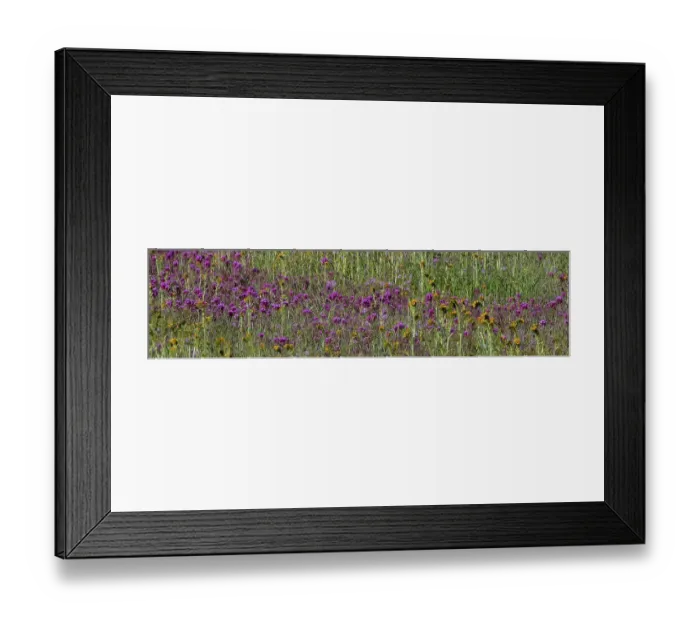 Framed Print : Countless wildflowers make for interesting medleys in the Coast Range in spring Framed Print : Countless wildflowers make for interesting medleys in the Coast Range in spring