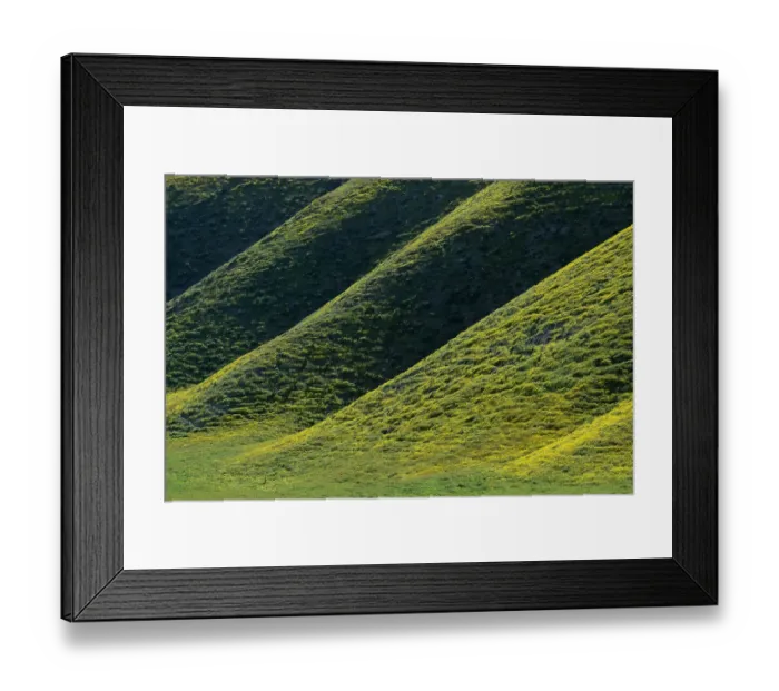 Framed Print : Wildflowers coat the hillsides of the California Coast Range in colorful yellow blossoms Framed Print : Wildflowers coat the hillsides of the California Coast Range in colorful yellow blossoms