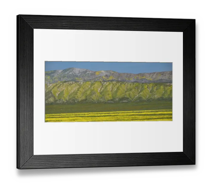 Framed Print : Wildflowers cover plains and hillsides of Carrizo Plains National Monument