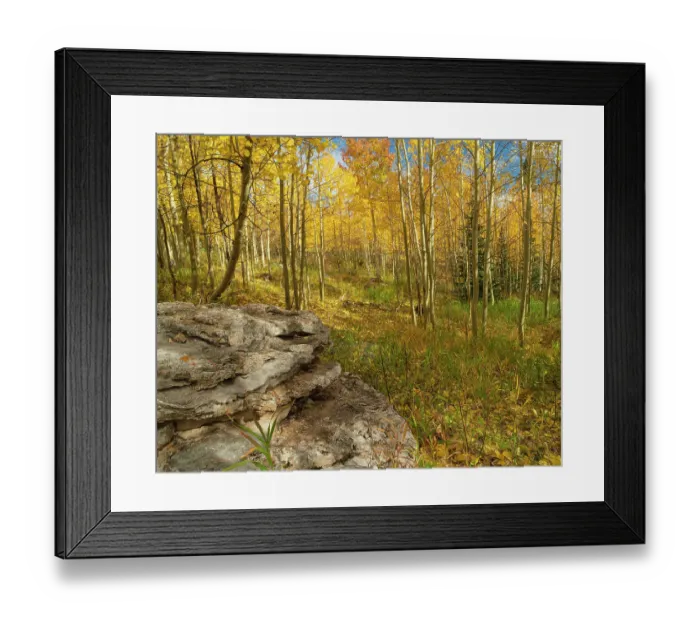 Framed Print : 10k Trailhead on a fall day, Sandia Mountains, Cibola National Forest, New Mexico Framed Print : 10k Trailhead on a fall day, Sandia Mountains, Cibola National Forest, New Mexico
