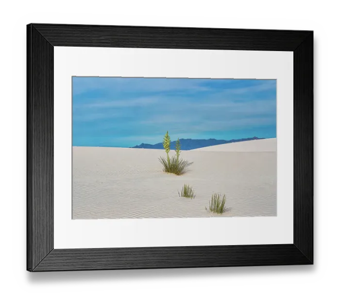 Framed Print : New Mexico's White Sands National Park Framed Print : New Mexico's White Sands National Park
