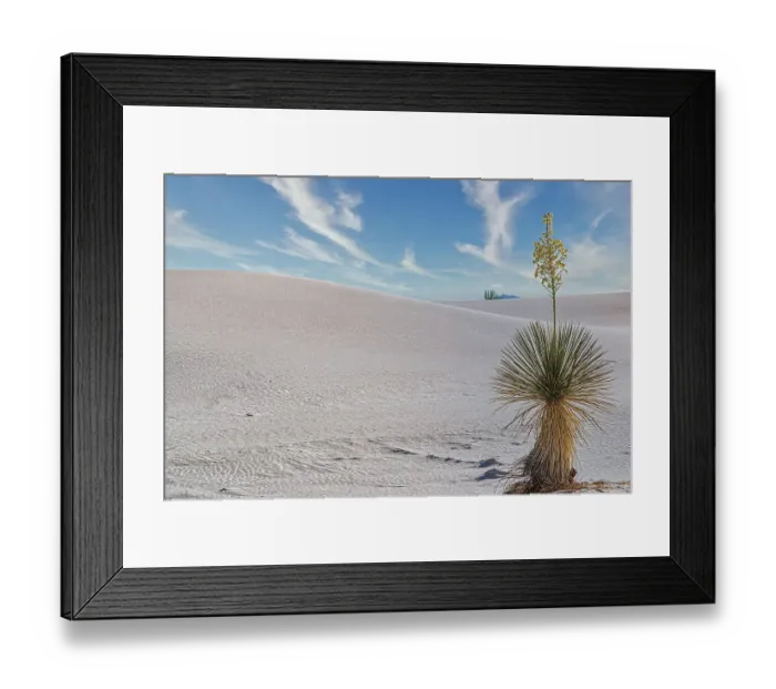 Framed Print : White Sands National Park Framed Print : White Sands National Park