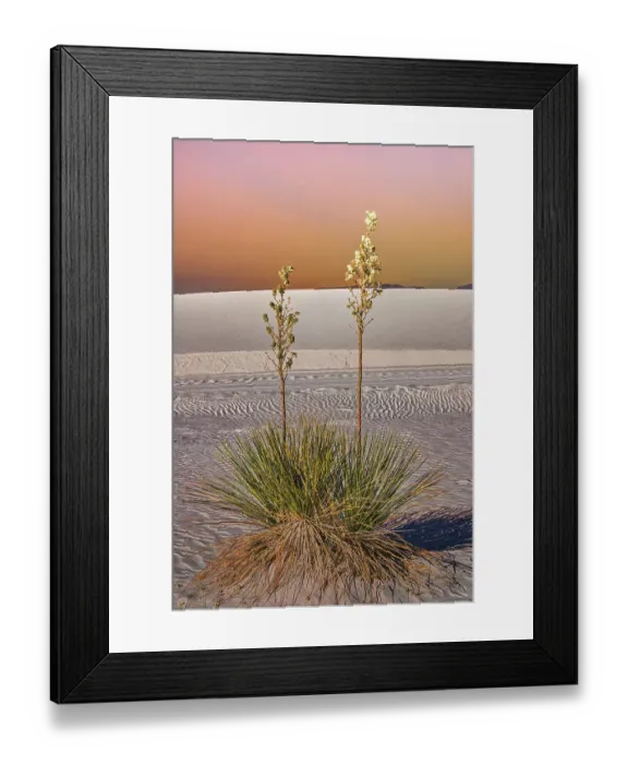 Framed Print : White Sands National Park Framed Print : White Sands National Park