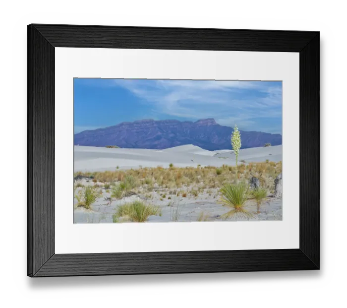 Framed Print : White Sands National Park Framed Print : White Sands National Park