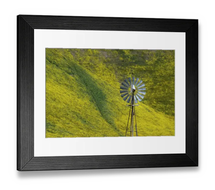 Framed Print : An old fashioned windmill stands in front of a flower covered hillside in the California Coast Range Framed Print : An old fashioned windmill stands in front of a flower covered hillside in the California Coast Range