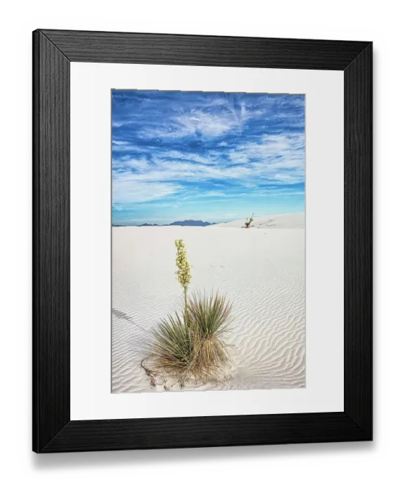 Framed Print : New Mexico's White Sands National Park Framed Print : New Mexico's White Sands National Park