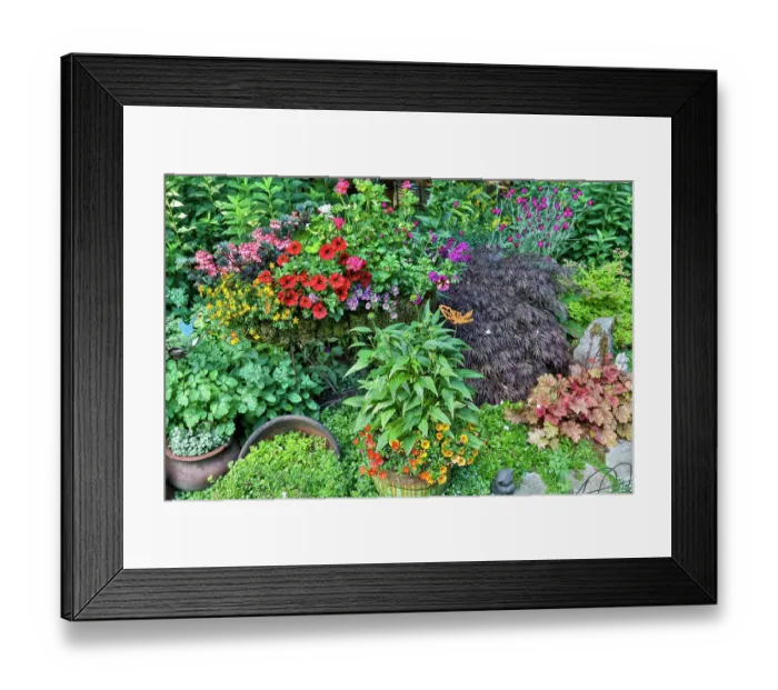 Framed Print : USA, Washington State, Sammamish. Garden in summer bloom. (PR)
