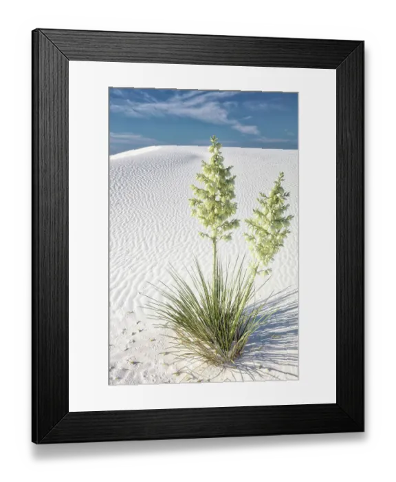 Framed Print : New Mexico's White Sands National Park Framed Print : New Mexico's White Sands National Park