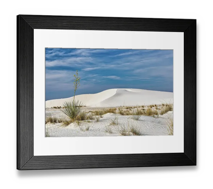 Framed Print : New Mexico's White Sands National Park Framed Print : New Mexico's White Sands National Park