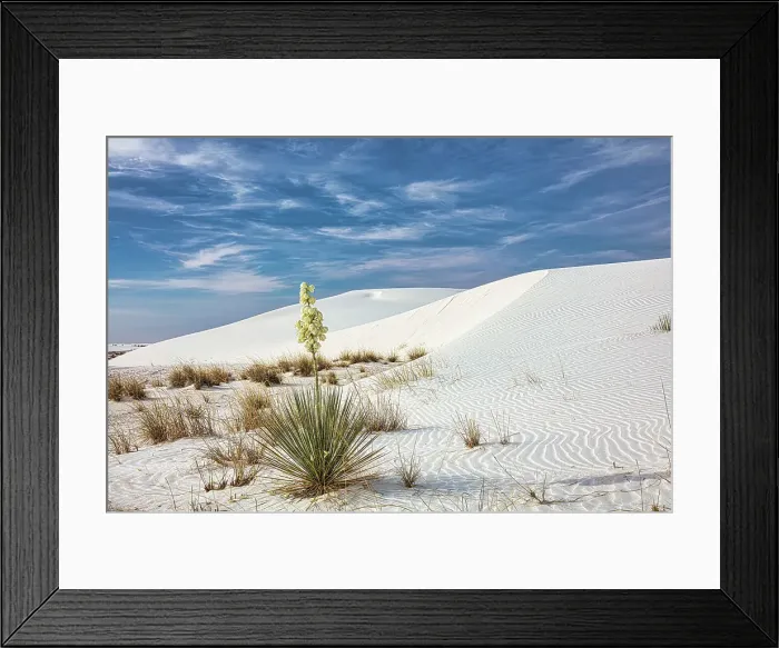 Framed Print : New Mexico's White Sands National Park Framed Print : New Mexico's White Sands National Park
