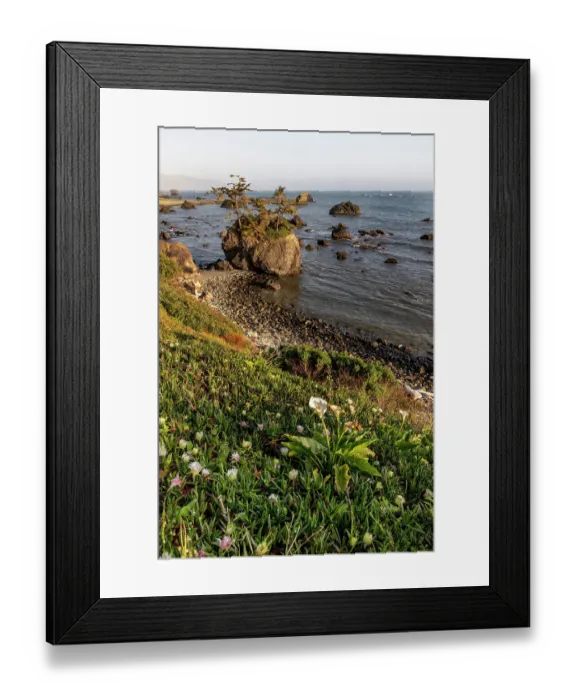 Framed Print : Sea stacks at sunset in Crescent City, California, USA