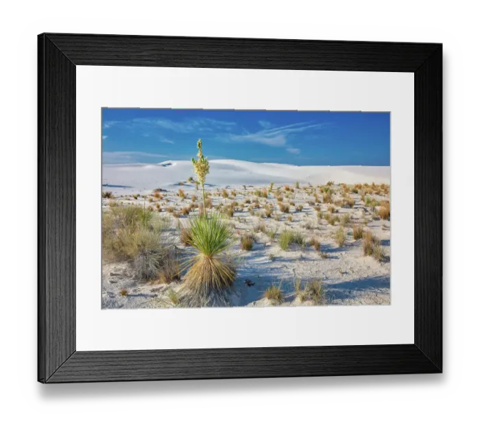 Framed Print : New Mexico's White Sands National Park Framed Print : New Mexico's White Sands National Park