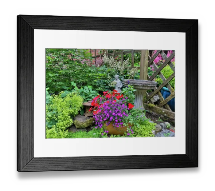 Framed Print : USA, Washington State, Sammamish. Garden in summer bloom