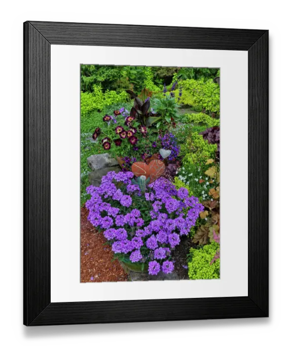 Framed Print : USA, Washington State, Sammamish. Summer perennial flower garden with cone flowers, zinnias. Beebalms, Rebecca. Coleus, Japanese grasses and lawn art Framed Print : USA, Washington State, Sammamish. Summer perennial flower garden with cone flowers, zinnias. Beebalms, Rebecca. Coleus, Japanese grasses and lawn art