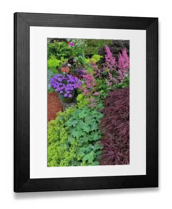 Framed Print : USA, Washington State, Sammamish. Summer perennial flower garden with cone flowers, zinnias. Beebalms, Rebecca. Coleus, Japanese grasses and lawn art Framed Print : USA, Washington State, Sammamish. Summer perennial flower garden with cone flowers, zinnias. Beebalms, Rebecca. Coleus, Japanese grasses and lawn art