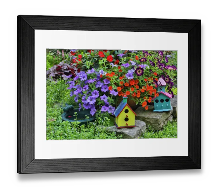 Framed Print : USA, Washington State, Sammamish. Colorful painted birdhouses mixed in with color flowers