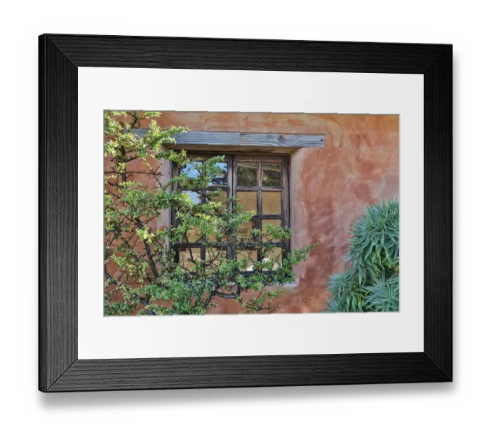 Framed Print : USA, California, Carmel. Inside the grounds at the Carmel Mission Basilica Museum Framed Print : USA, California, Carmel. Inside the grounds at the Carmel Mission Basilica Museum