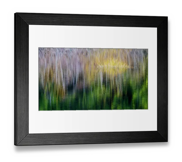 Framed Print : USA, Washington State, Sammamish. Small pond with reflections of spring colors on trees and their reflections Framed Print : USA, Washington State, Sammamish. Small pond with reflections of spring colors on trees and their reflections