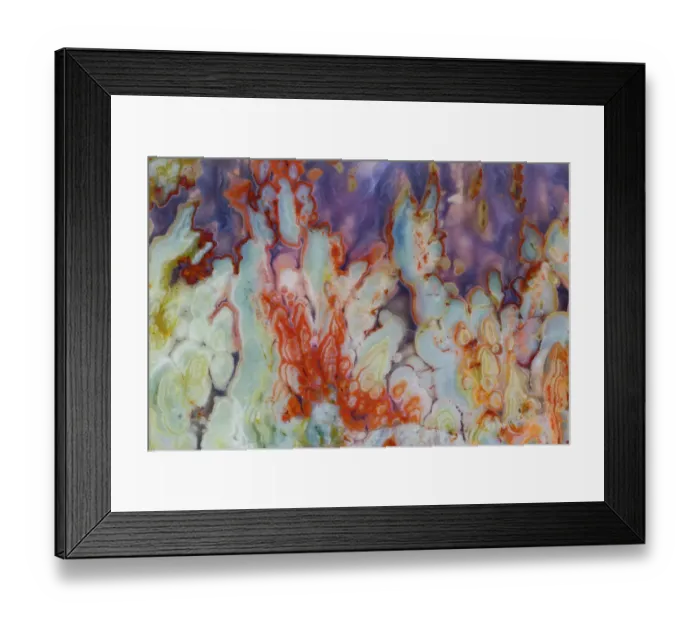 Framed Print : USA, Washington State, Sammamish. Close-up details of Prudent Man Agate