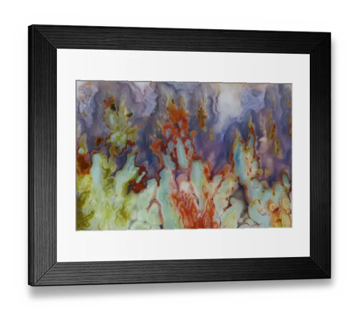 Framed Print : USA, Washington State, Sammamish. Close-up details of Prudent Man Agate Framed Print : USA, Washington State, Sammamish. Close-up details of Prudent Man Agate