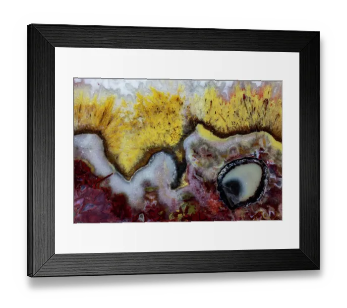 Framed Print : USA, Washington State, Sammamish. Quetzalcoatl Agate close-up