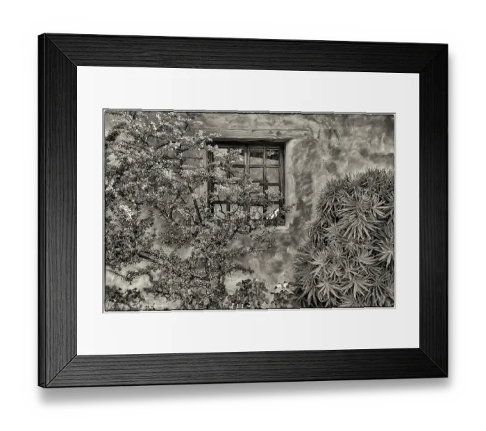 Framed Print : USA, California, Carmel. Inside the grounds at the Carmel Mission Basilica Museum Framed Print : USA, California, Carmel. Inside the grounds at the Carmel Mission Basilica Museum