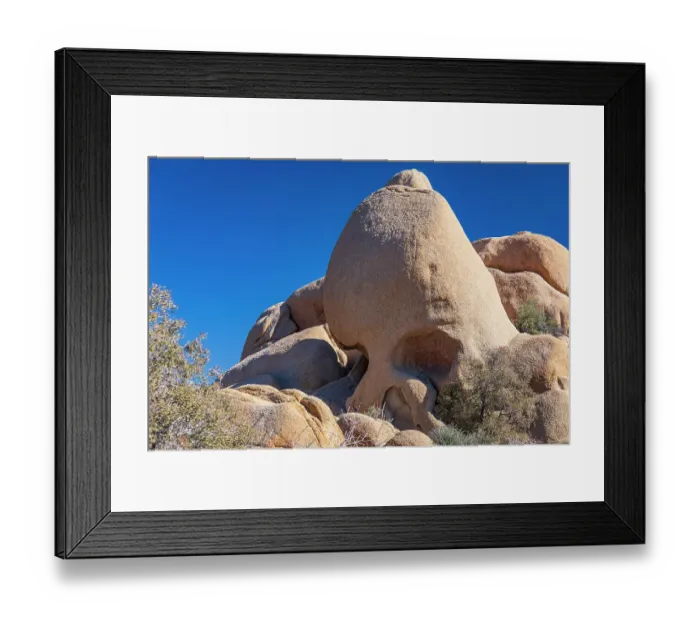 Framed Print : California, USA. Skull Rock in Joshua Tree National Park Framed Print : California, USA. Skull Rock in Joshua Tree National Park