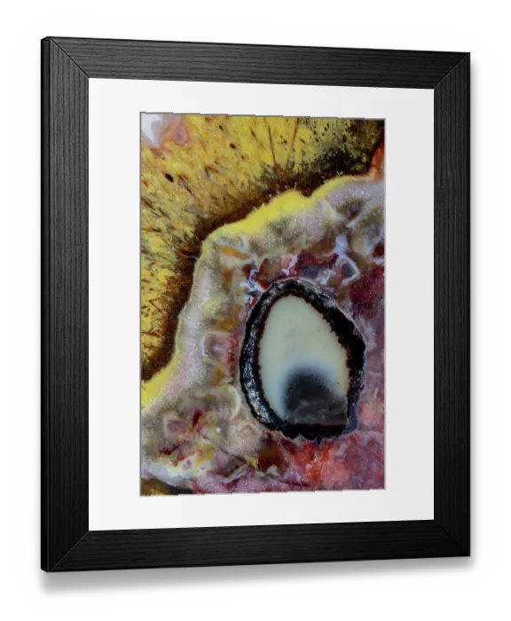 Framed Print : USA, Washington State, Sammamish. Quetzalcoatl Agate close-up Framed Print : USA, Washington State, Sammamish. Quetzalcoatl Agate close-up