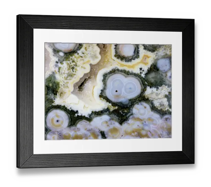 Framed Print : USA, Washington State, Sammamish. Ocean jasper close-up Framed Print : USA, Washington State, Sammamish. Ocean jasper close-up