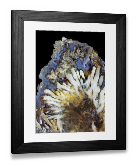 Framed Print : USA, Washington State, Sammamish. Close-up pattern design of agate Framed Print : USA, Washington State, Sammamish. Close-up pattern design of agate