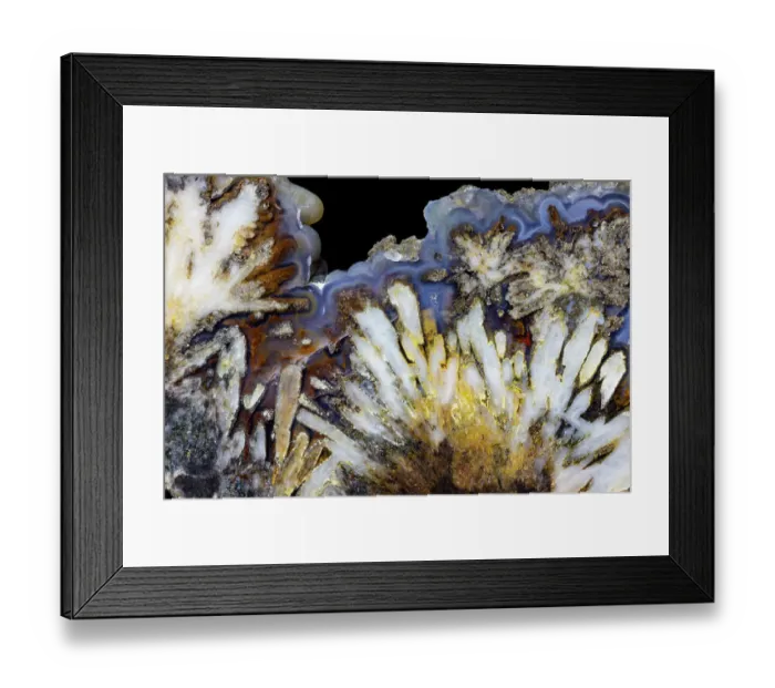 Framed Print : USA, Washington State, Sammamish. Close-up pattern design of agate Framed Print : USA, Washington State, Sammamish. Close-up pattern design of agate