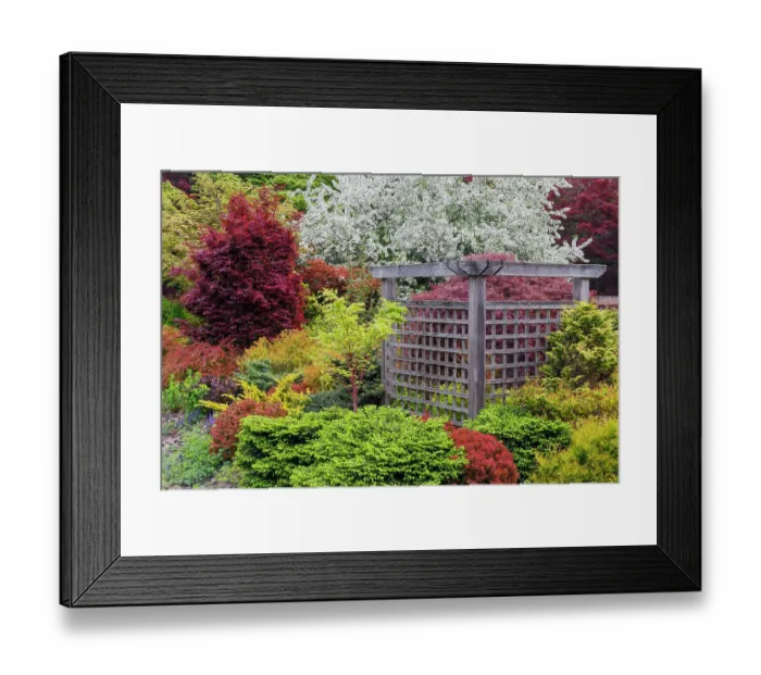 Framed Print : USA, Washington State, Sammamish. Front yard garden in springtime color with deer resistant plants