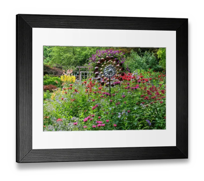 Framed Print : USA, Washington State, Sammamish. Summer perennial flower garden with cone flowers, zinnias. Beebalms, Rebecca. Coleus, Japanese grasses and lawn art, wind wheel Framed Print : USA, Washington State, Sammamish. Summer perennial flower garden with cone flowers, zinnias. Beebalms, Rebecca. Coleus, Japanese grasses and lawn art, wind wheel