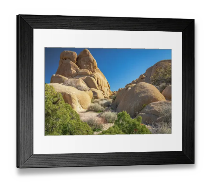 Framed Print : California, USA. Junipers and rock formations in Joshua Tree National Park