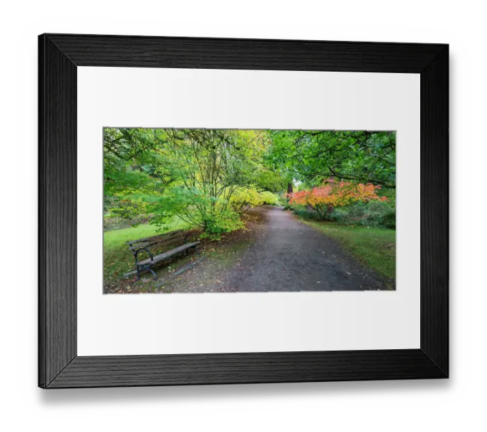 Framed Print : USA, Washington State, Seattle. Washington Park Arboretum in the fall with trail leading into autumn colored trees Framed Print : USA, Washington State, Seattle. Washington Park Arboretum in the fall with trail leading into autumn colored trees