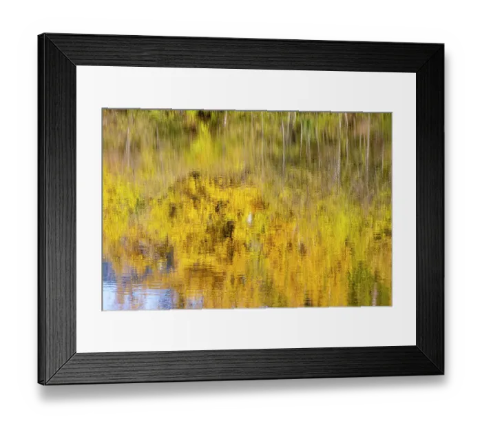 Framed Print : USA, Washington State, Easton. Small pond and reflection of yellow cottonwoods Cascade Mountains