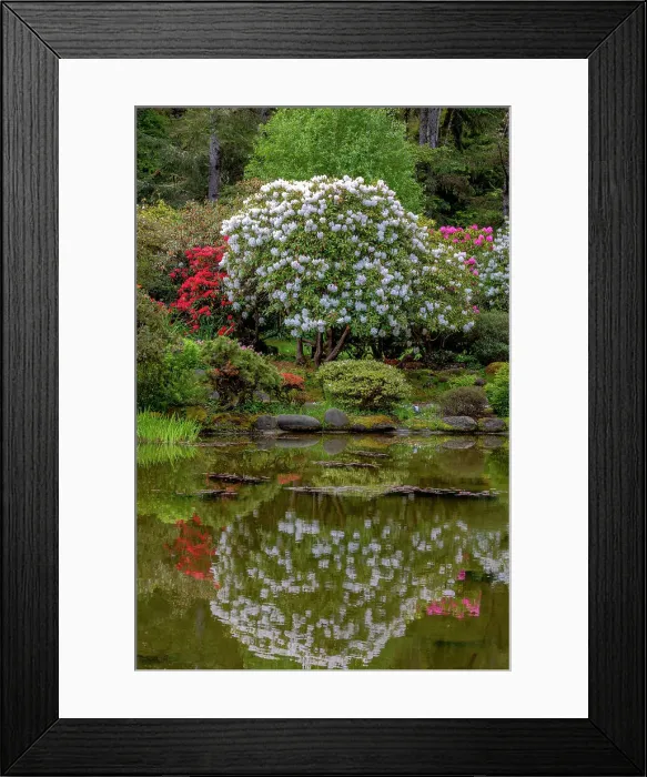Framed Print : Botanical gardens at Shore Acres State Park near Coos Bay, Oregon, USA