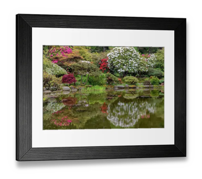 Framed Print : Botanical gardens at Shore Acres State Park near Coos Bay, Oregon, USA