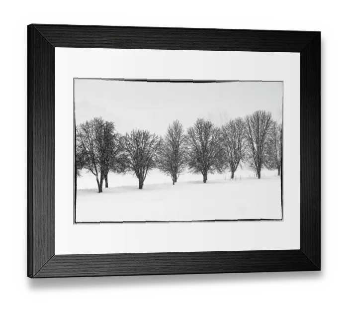 Framed Print : USA, Washington State, Carnation. Fresh snow in field with line of trees in black and white Framed Print : USA, Washington State, Carnation. Fresh snow in field with line of trees in black and white