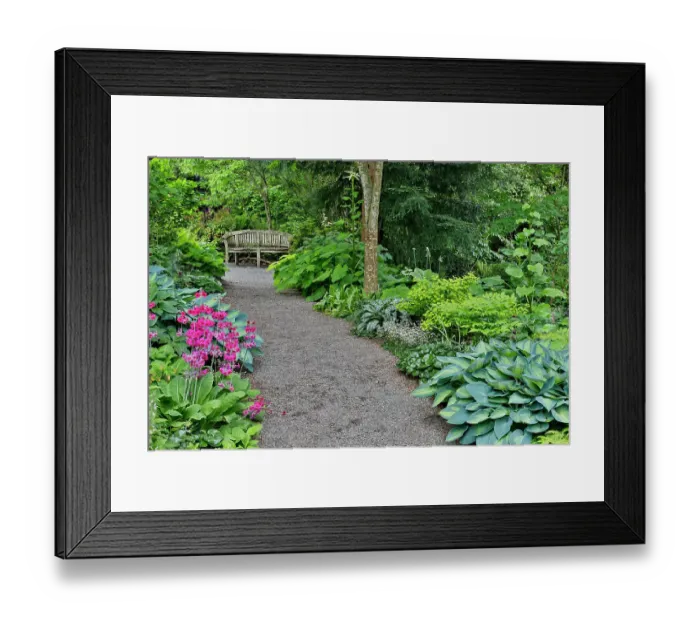 Framed Print : USA, Washington State, Bellevue. Bellevue Botanical Garden, gravel path in garden Framed Print : USA, Washington State, Bellevue. Bellevue Botanical Garden, gravel path in garden