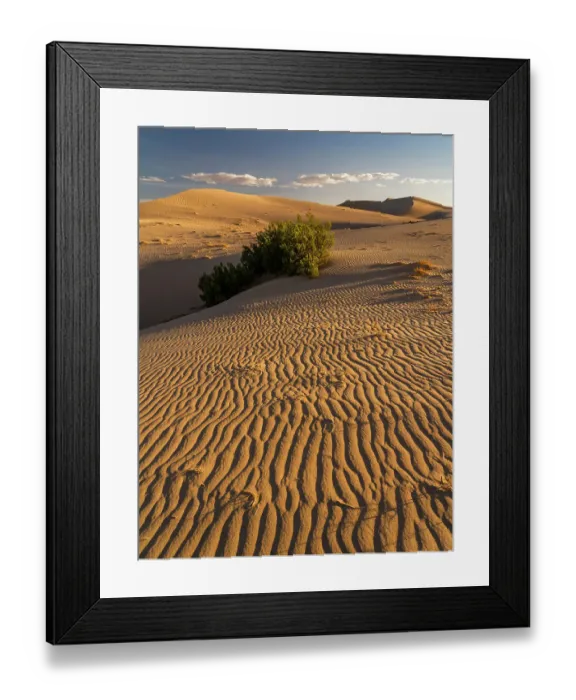 Framed Print : USA, California. Mojave Trails National Monument, Cadiz Dunes