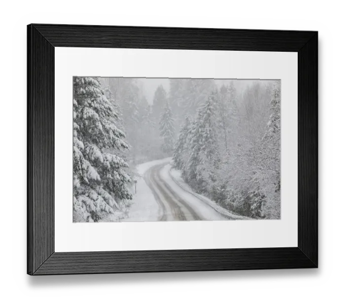 Framed Print : USA, Washington State, Preston. Winters snow fall on cottonwood trees and evergreens along snow covered road Framed Print : USA, Washington State, Preston. Winters snow fall on cottonwood trees and evergreens along snow covered road