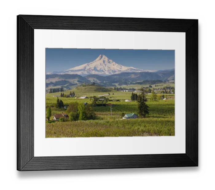 Framed Print : USA, Oregon, Hood River, Orchards in springtime bloom with backdrop of Mt. Hood
