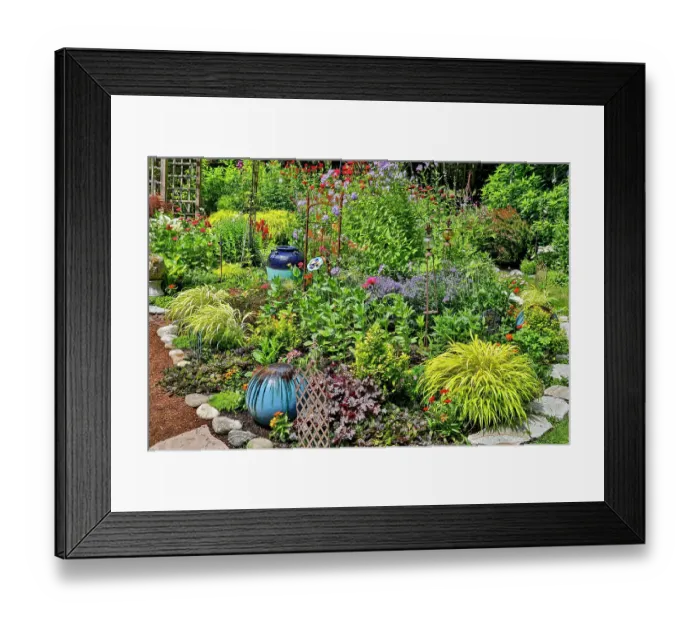 Framed Print : USA, Washington State, Sammamish. Summer perennial flower garden with cone flowers, zinnias. Beebalms, Rebecca. Coleus, Japanese grasses and lawn art Framed Print : USA, Washington State, Sammamish. Summer perennial flower garden with cone flowers, zinnias. Beebalms, Rebecca. Coleus, Japanese grasses and lawn art