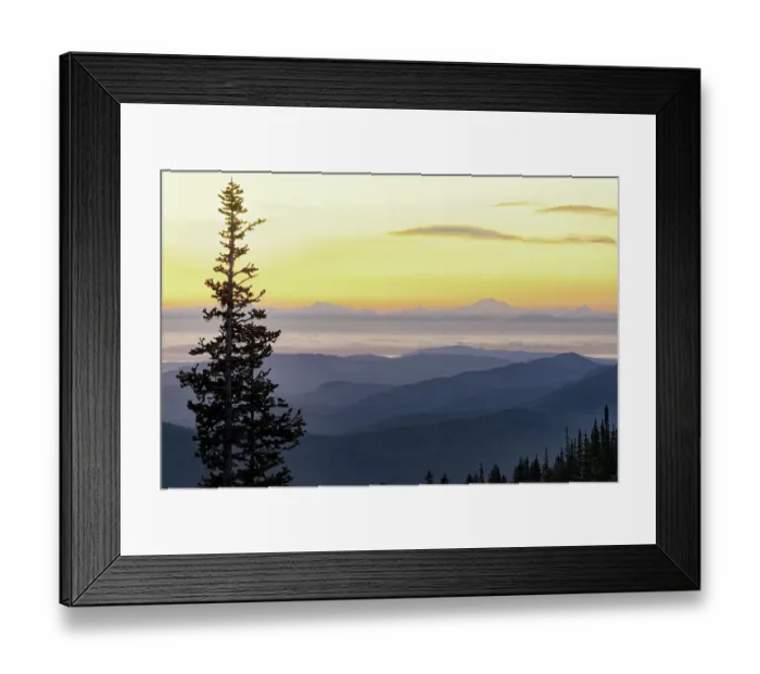 Framed Print : USA, Washington State, Olympic National Park. View from Hurricane Ridge before sunrise with a tree in the foreground
