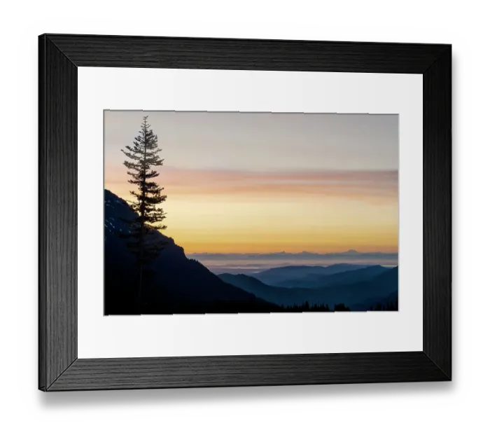 Framed Print : USA, Washington State, Olympic National Park. View from Hurricane Ridge before sunrise with a tree in the foreground